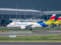 Penerbangan Domestik-Internasional Pelita Air Diskon Hingga Rp808.000