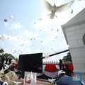 Merpati-merpati berwarna putih turut memeriahkan perayaan Hari Ulang Tahun (HUT) Ke-80 RI di halaman Istana Merdeka, Jakarta, Minggu (17/8/2025). (CNBC Indonesia/Tri Susilo)