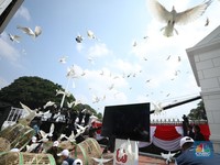 Merpati-merpati berwarna putih turut memeriahkan perayaan Hari Ulang Tahun (HUT) Ke-80 RI di halaman Istana Merdeka, Jakarta, Minggu (17/8/2025). (CNBC Indonesia/Tri Susilo)