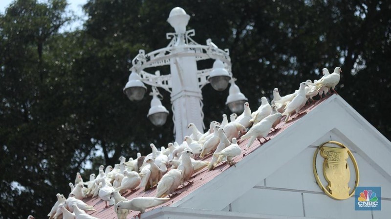 Merpati-merpati berwarna putih turut memeriahkan perayaan Hari Ulang Tahun (HUT) Ke-80 RI di halaman Istana Merdeka, Jakarta, Minggu (17/8/2025). (CNBC Indonesia/Tri Susilo)