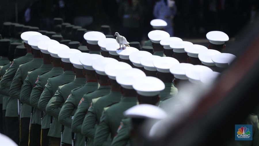 Merpati-merpati berwarna putih turut memeriahkan perayaan Hari Ulang Tahun (HUT) Ke-80 RI di halaman Istana Merdeka, Jakarta, Minggu (17/8/2025). (CNBC Indonesia/Tri Susilo)