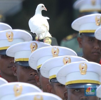 Heboh! Merpati Putih Bikin Riuh Upacara HUT ke-80 RI di Istana