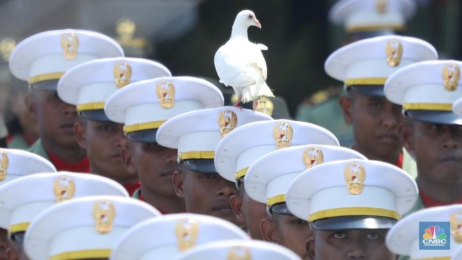Merpati-merpati berwarna putih turut memeriahkan perayaan Hari Ulang Tahun (HUT) Ke-80 RI di halaman Istana Merdeka, Jakarta, Minggu (17/8/2025). (CNBC Indonesia/Tri Susilo)