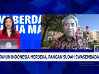 Video: Pengusaha Sawit Diminta Ikut Tanam Jagung, Yakin Produksi Naik?