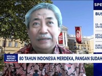 Video: Bedah Sebab Stok Bulog Melimpah Tapi Harga Beras Mahal