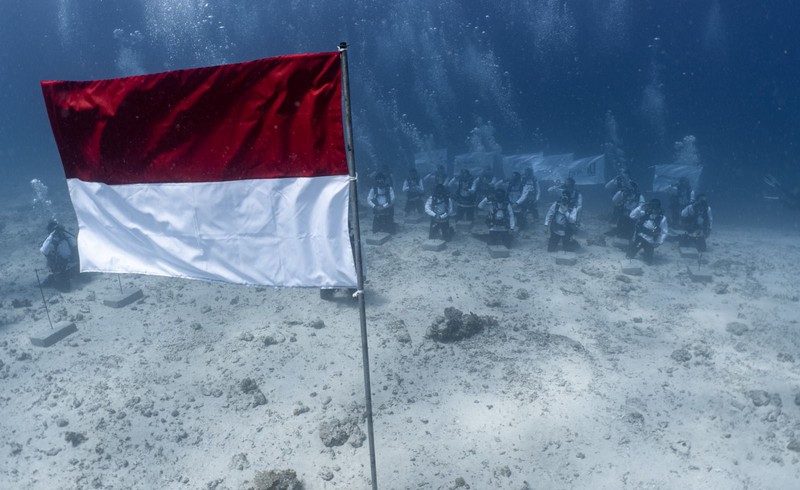 Pertamina International Shipping Gelar Upacara Bendera di Bawah Laut & Transplantasi Terumbu Karang di Labuan Bajo. (Dok PIS)