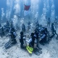 PIS Gelar Upacara Bendera di Bawah Laut & Transplantasi Terumbu Karang