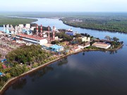 Menyalakan Kedaulatan RI: Gotong Royong Jadi Fondasi Energi Nasional