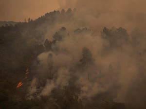 1.640 Hektar Hutan di Spanyol Kebakaran Akibat Cuaca Panas