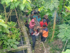 Diduga Mabuk, Buruh Proyek Terperosok ke Jurang di Ubud