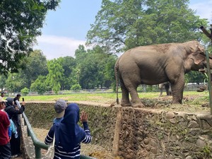 TM Ragunan Jadi Tempat Wisata Murah Isi Liburan HUT Ke-80 RI