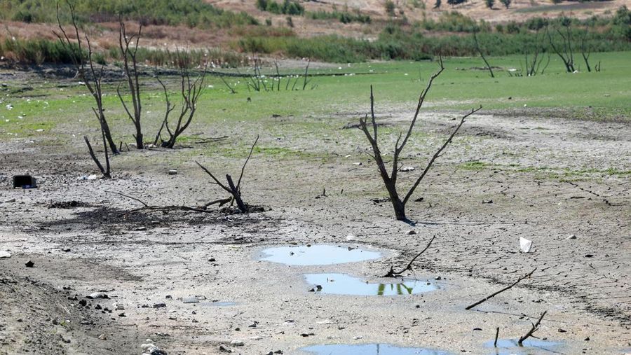 Alat pengukur ketinggian air berdiri di medan kering dekat perairan rendah Bendungan Naip, karena kondisi kekeringan terus memengaruhi ketinggian air, di Suleymanpasa, di provinsi Tekirdag barat laut, Turki, 11 Agustus 2025. (REUTERS/Dilara Senkaya)