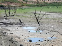 PBB Warning Dunia Bangkrut, Rekening Kosong, dan Tabungan Terkuras