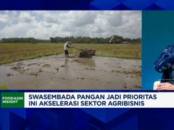Video: RI Mau Swasembada Pangan, Petani Kurang Lahan - Diserang Hama