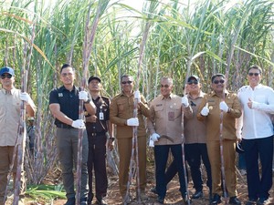 AHY dan Iftitah Tinjau Kawasan Transmigrasi-Pabrik Gula di Sumba Timur