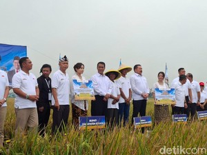 Lahan Sitaan Benny Tjokro Bakal Hasilkan 2.640 Ton Gabah