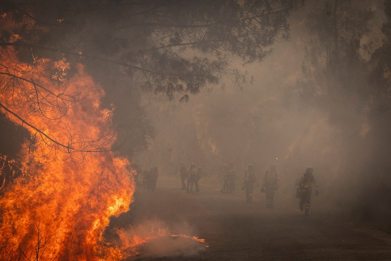 Manuel Carretero, 12, dan penduduk lainnya membersihkan semak-semak dan tumbuhan untuk mencegah kebakaran hutan mencapai desa, di Riano, dekat Leon, Spanyol, 18 Agustus 2025. (REUTERS/Nacho Doce)
