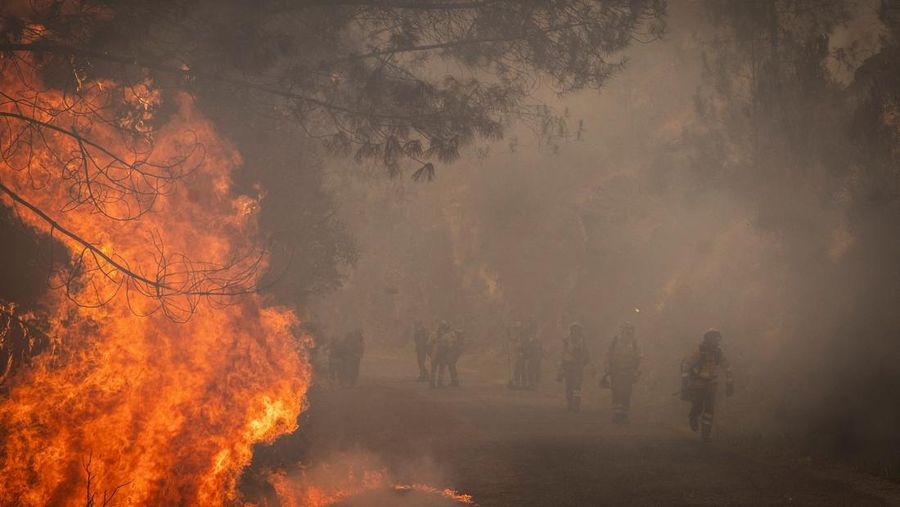 Manuel Carretero, 12, dan penduduk lainnya membersihkan semak-semak dan tumbuhan untuk mencegah kebakaran hutan mencapai desa, di Riano, dekat Leon, Spanyol, 18 Agustus 2025. (REUTERS/Nacho Doce)