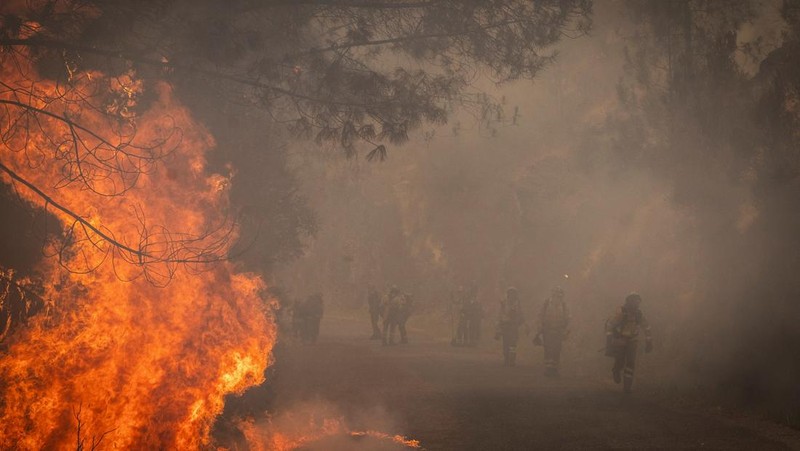 Manuel Carretero, 12, dan penduduk lainnya membersihkan semak-semak dan tumbuhan untuk mencegah kebakaran hutan mencapai desa, di Riano, dekat Leon, Spanyol, 18 Agustus 2025. (REUTERS/Nacho Doce)