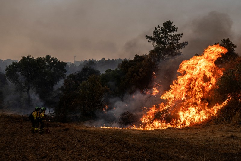 Manuel Carretero, 12, dan penduduk lainnya membersihkan semak-semak dan tumbuhan untuk mencegah kebakaran hutan mencapai desa, di Riano, dekat Leon, Spanyol, 18 Agustus 2025. (REUTERS/Nacho Doce)