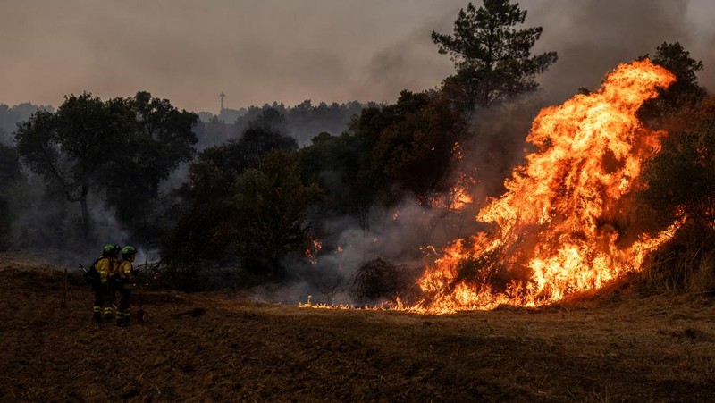 Manuel Carretero, 12, dan penduduk lainnya membersihkan semak-semak dan tumbuhan untuk mencegah kebakaran hutan mencapai desa, di Riano, dekat Leon, Spanyol, 18 Agustus 2025. (REUTERS/Nacho Doce)