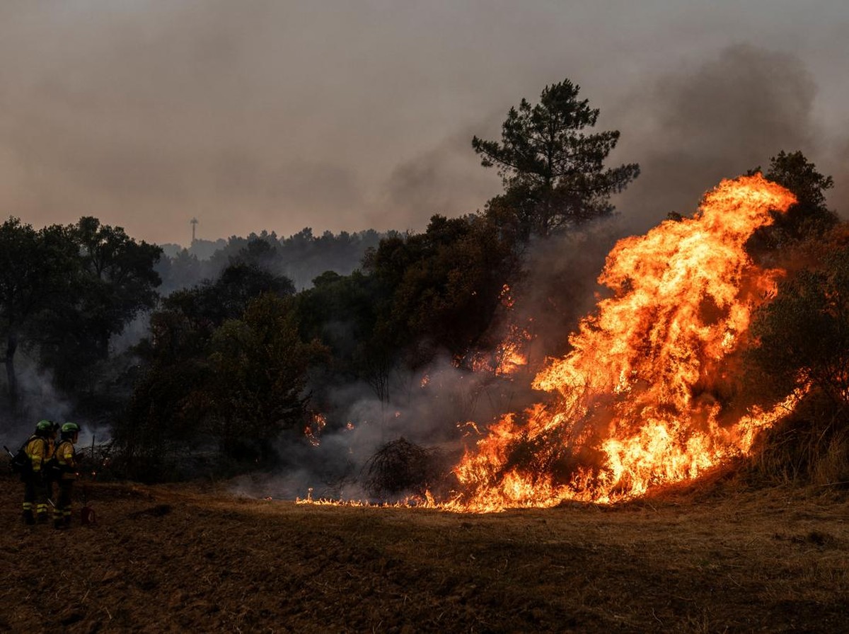 10 Ancaman Serius yang Bisa Jadi Tanda Kiamat Menurut Para Ahli