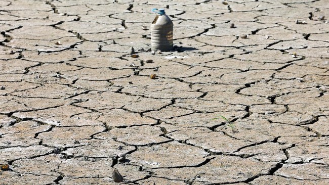 PBB Buka-bukaan Tanda Kiamat, Kekeringan Sudah Level Parah