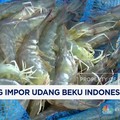 Udang di Banten-Lampung Tak Laku-Harga Anjlok Buntut Kasus Radioaktif