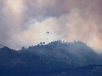 Ini Potret Kebakaran Hutan Spanyol, Asap Membumbung Tebal!
