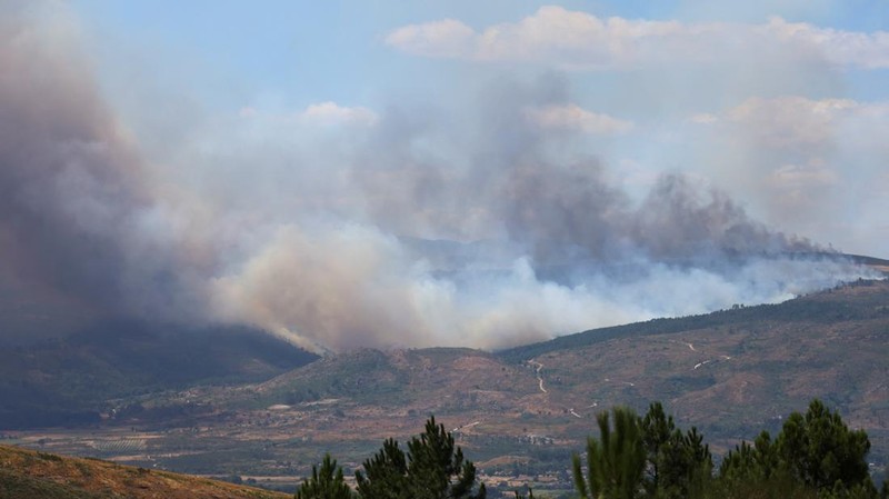 Asap mengepul saat helikopter terbang untuk memadamkan kebakaran hutan di pegunungan Oimbra, dekat Verin, di provinsi Ourense, wilayah Galicia, Spanyol, Selasa (19/8/2025). (REUTERS/Nacho Doce)