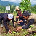 Telkom Targetkan Tanam 10.000 Pohon di 2025. Begini Progresnya