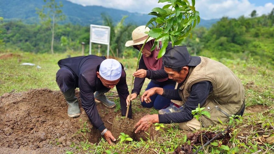 Penanaman Bibit Pohon
