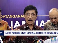 Video: Target Produksi Sawit Nasional Dipatok 60 Juta di Tahun 2030