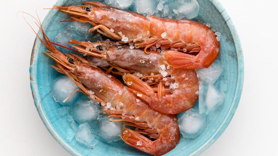 Udang beku. (Dok. Freepik) Udang beku. (Dok. Freepik)