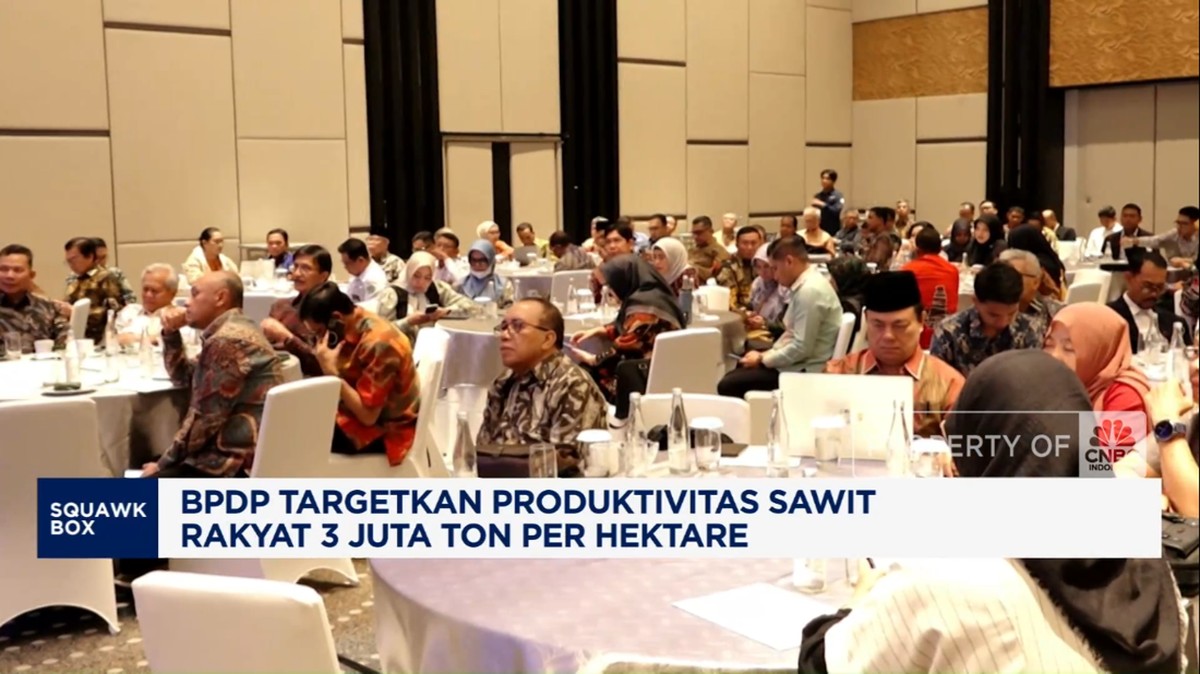Video: BPDP Targetkan Produktivitas Sawit Rakyat 3 Juta Ton/hektare