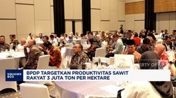 Video: BPDP Targetkan Produktivitas Sawit Rakyat 3 Juta Ton/hektare