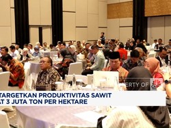 Video: BPDP Targetkan Produktivitas Sawit Rakyat 3 Juta Ton/hektare