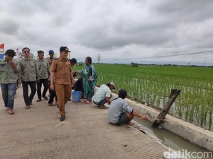 Cara Warga Kalianyar Cirebon Ubah Selokan Jadi Lokasi Mancing Massal