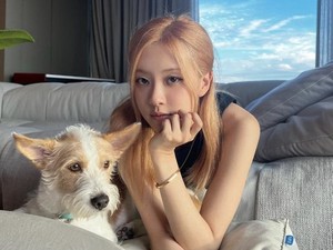 Cerita Rose BLACKPINK Adopsi Anjing Kini Eksis Pemotretan Bareng Vogue