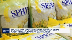 Video: Zulhas Akui Operasi Pasar Untuk Salurkan Beras Masih Rendah