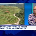 Video: Ancaman Dibalik Sengkarut Lahan Sawit yang Tak Kunjung Usai
