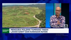 Video: Ancaman Dibalik Sengkarut Lahan Sawit yang Tak Kunjung Usai