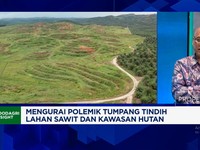 Video: Ancaman Dibalik Sengkarut Lahan Sawit yang Tak Kunjung Usai