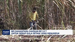 Video: Danantara Siapkan Rp 1,5 Triliun Serap Tumpukan Gula Petani