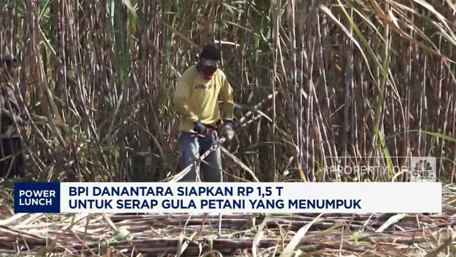 Video: Danantara Siapkan Rp 1,5 Triliun Serap Tumpukan Gula Petani