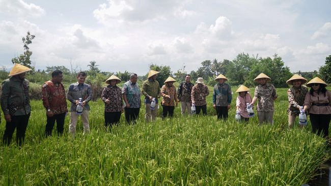 Dukung Swasembada Pangan, PTBA-UGM Hadirkan Produk Kalium Humat