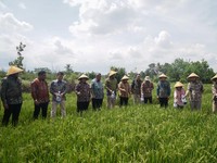 Dukung Swasembada Pangan, PTBA-UGM Hadirkan Produk Kalium Humat
