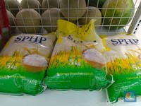 Fakta-Fakta Kondisi Terbaru Stok Beras di Ritel Modern Jakarta Selatan