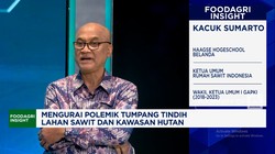 Video: Tumpang Tindih Lahan Sawit & Kawasan Hutan, Pengusaha Resah!