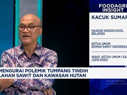 Video: Tumpang Tindih Lahan Sawit & Kawasan Hutan, Pengusaha Resah!